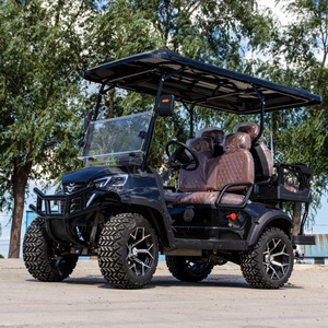 Voiturette de golf électrique 4 places homologuée CE pour hôtels et sites touristiques - Product Image 1