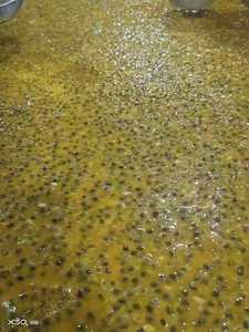 Bibit buah gairah jumlah besar beku organik dalam pola kubus Apel IQF diproses - Product Image 3