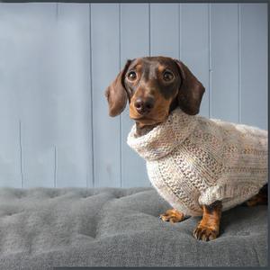 Personnalisé Nouveau Designer Chaud Chien Vêtements Vêtements Vêtements Pull Pull Gilet Costume pour <span class=keywords><strong>Teckel</strong></span> Corgi - Product Image 4