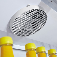 Prix d'usine Réfrigérateur électrique à congélation rapide Basse température-22 ℃ Petite taille avec désembuage Porte en verre Petit congélateur