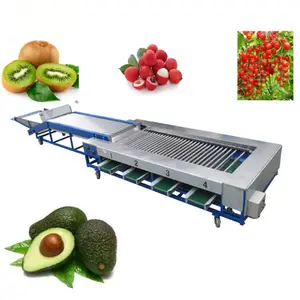 Máquina automática de clasificación de frutas de arándanos de acero inoxidable de diferentes capacidades