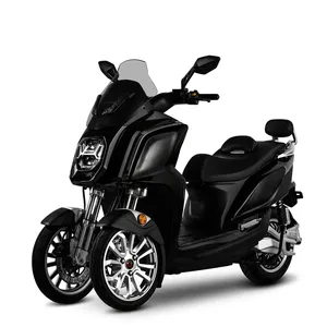 2021 nuovo stile adulto trike elettrico scooter a 3 ruote