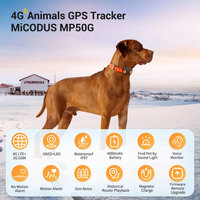 Traceur GPS pour animaux de compagnie, orange, PVC, traceur GPS pour chien de chasse, collier, étanche IP68, 4G, longue durée de vie de la batterie, antivol, suivi à distance via