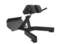 FEIFANHONGYU Banc de musculation à 45 degrés, Chaise romaine, Équipement d'extension dorsale à hauteur réglable, Cadre en acier, Entraînement de base pour la maison et la salle de sport