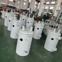 10KVA-100KVA 10KV 11KV étape double tension monophasé monté sur poteau ONAN immergé dans l'huile refroidissement DingXin D11 prix du transformateur