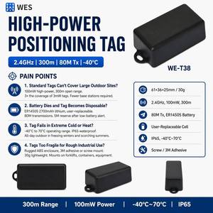Manufacturer 2.4GHz 100mW Long-Range <b>Tag</b> 300m 80M TX 5-Year IP65 -40°C Replaceable Battery for Asset Vehicle Personnel Tracking - Product Image 2