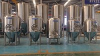Système de brassage de bière Cassman 10bbl, cuves de brassage en acier inoxydable, équipement de micro-brasserie à vendre