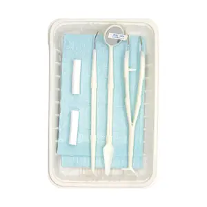 Kit d'examen dentaire (5 paquets) boîte d'instruments dentaires jetables pour soins buccaux personnels