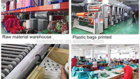Sac cadeau de Noël de taille personnalisable Sacs d'emballage cadeau en plastique de type CPP pour cadeaux de vacances