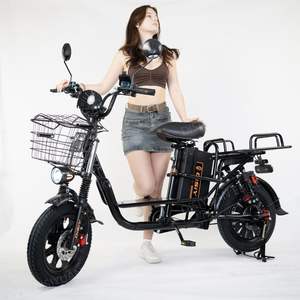Disiyuan usine Fat Ebike Kiti rapide 250w 20 pouces cadre en acier Cargo Bike électrique Cargo Bike - Product Image 1