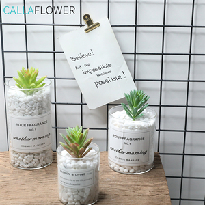 Modalità di Succulente artificiale <span class=keywords><strong>Mini</strong></span> semi di Loto <span class=keywords><strong>Piante</strong></span> Succulente/Succulente Planter - Product Image 3