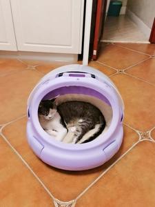 Innovatives Tragbares Rundes Katzenbett mit Abnehmbarem Waschbarem Kissen und Komfortablem Tragegriff für Reisen Innen und Draußen - Product Image 6