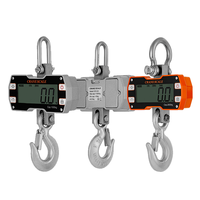 Báscula de Grúa de Precisión Impermeable, Capacidad de 100 kg, Pantalla LCD/LED de 115 mm, Tara Remota para Pruebas en Laboratorios Húmedos, OEM ODM Junebreath