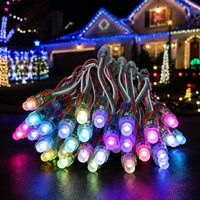 Luz LED Pixel RGB WS2811 de 12 mm, direccionable, programable, IP67, impermeable, para decoración de publicidad exterior