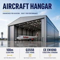 Hangar para Aviones, Estructura de Acero, Diseño Personalizado, Almacenamiento y Mantenimiento para Aeropuertos