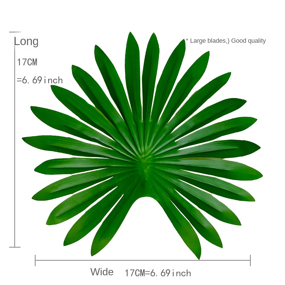 Petit palmier vert à 12 feuilles-12 feuilles