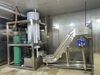 Machine à glace industrielle automatique de 1 tonne avec compresseur, pompe et moteur à refroidissement par eau pour hôtels et services de restauration, transformation alimentaire