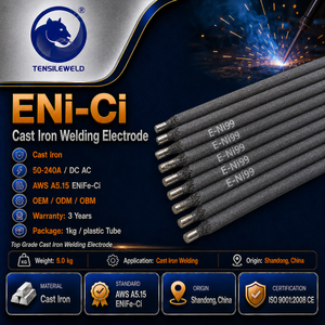 Electrodo de Soldadura de <span class=keywords><strong>Hierro</strong></span> Fundido de Primera Calidad (ENiFe-Ci) <span class=keywords><strong>para</strong></span> Soldadura - Product Image 1
