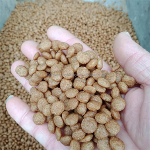 เครื่องอัดรีดอาหารเม็ดกุ้งแบบลอยเครื่องให้อาหารปลาแห้ง - Product Image 6