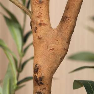 Arbre en pot <span class=keywords><strong>d</strong></span>'intérieur avec des fruits réalistes <span class=keywords><strong>olivier</strong></span> artificiel pour la <span class=keywords><strong>d</strong></span>écoration de bureau à domicile - Product Image 5