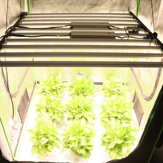 Greenhouse Hydroponic Culture Octopus Shape LED Plant Growth LED Grow Lamp 1000w LED Grow Light Strip
