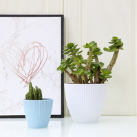 Maceta de Plástico para Orquídeas y Bonsáis, Moderna, para Hogar y Jardín, en Oferta