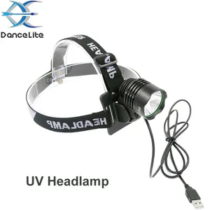 OEM personalizzato potente faro UV 5050 10W ultravioletto 395nm USB UV faro LED lampada frontale per test