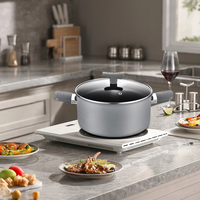 Casserole en acier au carbone de haute qualité poêle à soupe antiadhésive ustensiles de cuisine santé avec couvercle en verre vente en gros