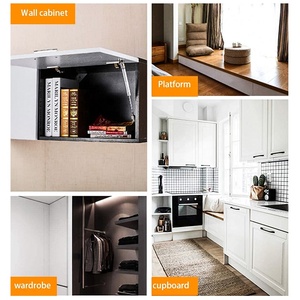 Pomme métallique de haute qualité pour portes d'armoire, ressort à gaz Durable, couvercle pneumatique de levage à Piston à domicile - Product Image 5