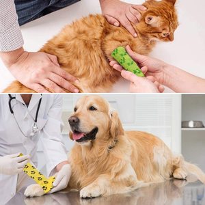 Aranea مخصص شعار للماء الذاتي لاصق غير المنسوجة ضمادة لاصقة مرنة 10 سنتيمتر البيطري التفاف ضمادة - Product Image 6