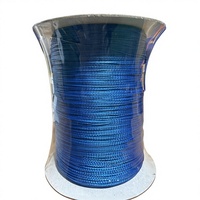 Cuerda Plana de Aramida UHMWPE de 0.6mm, Cuerda para Cometa de Alta Resistencia y Ligera, Línea de Vuelo para Parapente, Hilo Trenzado Resistente al Desgaste