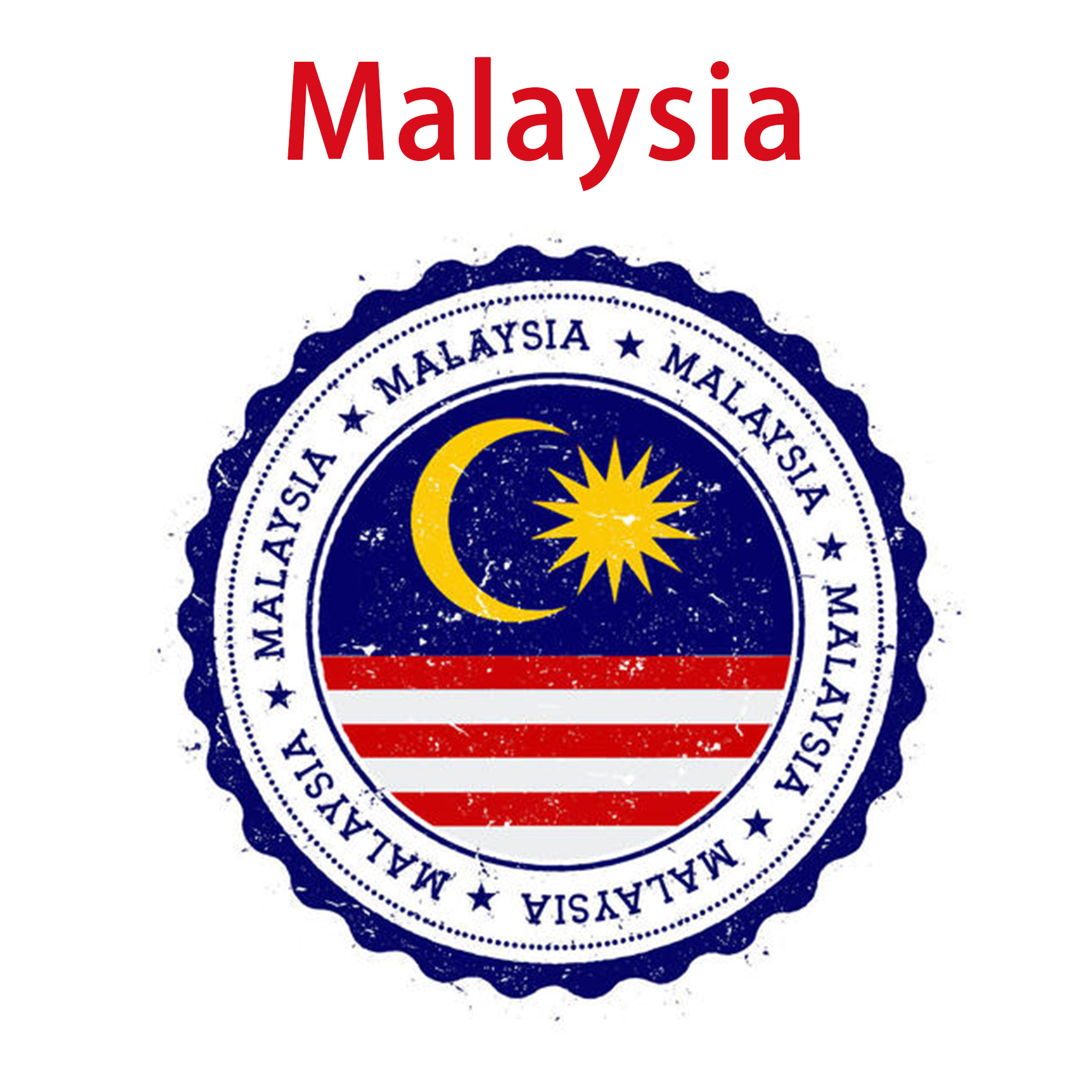 12 лет профессиональной доставки от двери до двери/логистические услуги из Китая в Европу