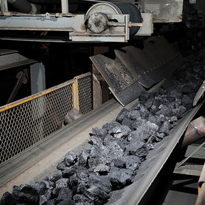 Charbon actif de coquille de fruit naturel pur écologique et renouvelable économique et abordable - Product Image 5