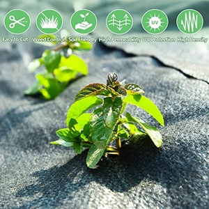 YRH usine noir PP usage agricole plastique paillis Anti-herbe tissu couvre-sol tissé contrôle des mauvaises herbes tissu rouleau feuille - Product Image 3