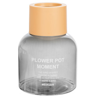 Ventes en gros de pots de fleurs hydroponiques en plastique PP transparent, écologiques, chromés, modernes et simples, 150 ml