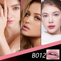OEM ODM Rouge À Lèvres Vendeur Petit quantité minimale de commande Chinois Pas Cher Velours Mat Imperméable Longue Durée Formule Naturelle Maquillage Bâton Application