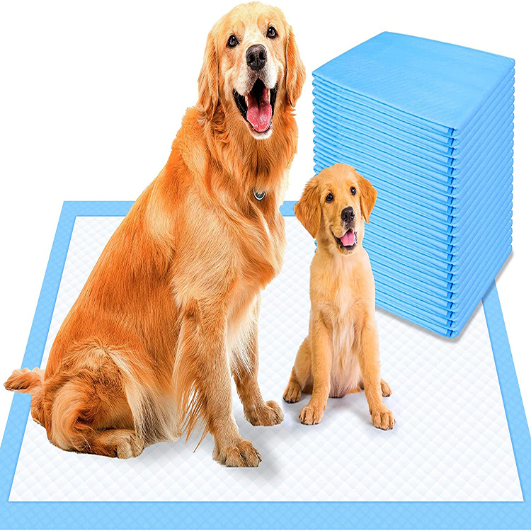 Free Sample Pet Training Puppy Potty