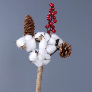 Branches naturelles de <span class=keywords><strong>coton</strong></span> <span class=keywords><strong>séchées</strong></span> fait à la main, vente en gros, 100g, pour décoration de maison, <span class=keywords><strong>bouquet</strong></span> de <span class=keywords><strong>fleurs</strong></span> <span class=keywords><strong>séchées</strong></span>, vente en gros - Product Image 4