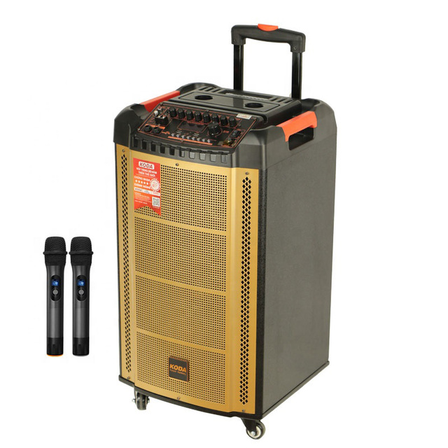 12 Inch Woofer+tweeter Bt Trolley Speaker Outdoor with Wireless Microphone Koda Karaoke Speakers