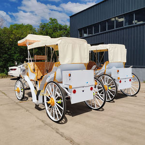 Charrette Électrique Certifiée CE pour le Transport en Parc, Chariot de Luxe à Double Rangée pour Visites Touristiques Européennes à Vendre - Product Image 5