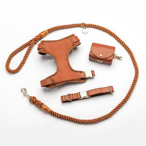 パーソナライズされた調整可能なPUレザーペットカラーハーネスとロープリーシュ犬の首輪セット - Product Image 1