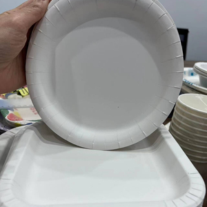 Disposable service paper plate