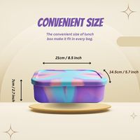 Boîte à lunch en silicone de qualité alimentaire personnalisée en gros avec compartiments, compatible micro-ondes et écologique, boîte bento portable pour enfants