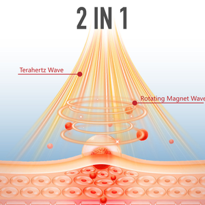 Alat Fisioterapi Punggung Adalah Perangkat Perawatan Rehabilitasi Terahertz Medis yang Digunakan untuk Pengobatan Klinis Nyeri Punggung - Product Image 2