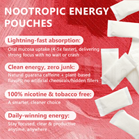 Pochettes Énergétiques Buccales Alpha Nootropiques en Gros pour OEM, Sans Nicotine, L-Théanine 100mg, Caféine, Pochettes à Mâcher pour la Concentration