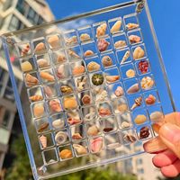 Conteneur en acrylique transparent à 36 compartiments, magnétique, moderne, imprimé sérigraphié avec logo personnalisé, en forme de coquillage, fabriqué aux États-Unis, directement de l'usine