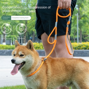 Guinzaglio Universale Retrattile per Cani Stile P Anti-Fuga Anti-Soffocamento in <span class=keywords><strong>Tessuto</strong></span> Modello 212 – Strumento Essenziale per Passeggiate con il Cane - Product Image 1