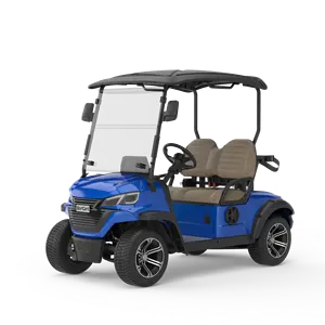 Nhà Máy Giá Golf Cart Buggy pin lithium Powered 72V Điện Trung Quốc xe Golf
