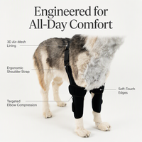 Attelle de genou pour chien, double support pour pattes avant, réglable, rembourrée, anti-rayures, avec sangle d'épaule, pour grands chiens, en polyester