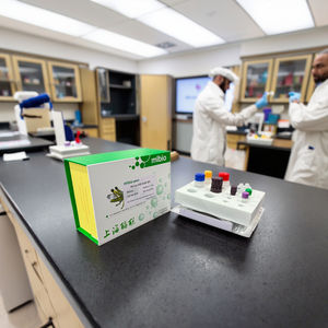 송곳니 화학 서비스 제품에 대한 맞춤형 IL-6 엘리사 키트 - Product Image 3